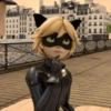 Cat noir 24
