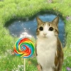 Meowl meme cat🐱✨ 19