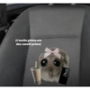 Hamster desesperado 25