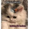 Peki üzüleyim @miawlabakim kalbim de kırılsın