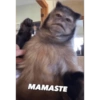 MAMASTE