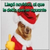 Llegó navidad, al que le debo que se aguante