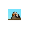 Pinguim  27