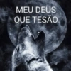 MEU DEUS QUE TESÃO