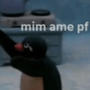PINGUZINHO 14