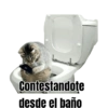 Michi Objeto 🐈‍⬛😽 5