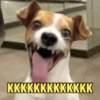 KKKKKKKKKKKKK