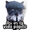 Así es la vida papito