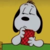Snoopy🐕🌼🪄 8