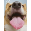 Reação de pet 23