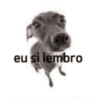 Doguinhos 14