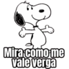 Mira como me vale verga