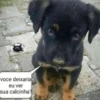 voce deixaria eu ver sua calcinha?