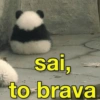 sai, to brava