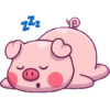 Pig cute / babi 13