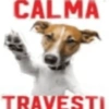 CALMA TR RAVES T