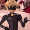 Cat noir 16