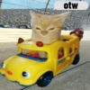 Gatau 14
