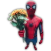 Spider Hero Flowers