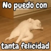 No uedo con pu carols.zdio tanta felicidad