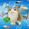 Meowl meme cat🐱✨ 21