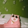 Cat 12