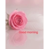 Good morning 50