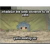 Qnimemsi 15