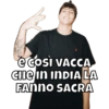 è così VACCA CHE IN INDIA LA FANNO SACRA