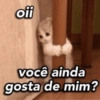 ofi Você ainda gosta de mim?