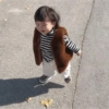 Rohee baby corean 1 28