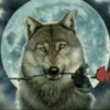 Lone Wolf 🐺  4