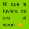 Ni que la tuviera de oro el weon
