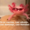 Ya es viernes, casi sábado, casi domingo, casi Navidad