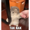 TAK NAK