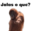Reacciones 12
