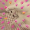 Gatitos con corazones 7