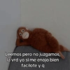MEMES XD 8