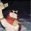 Cat 14