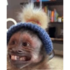 Chango  10