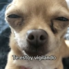 Te estoy vigilando