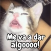 Me va a dar carols.zdio algoooo!