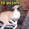 tô assim