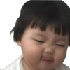 Jinmiran 15