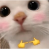 Reaja com eles 🥺 10