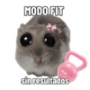MODO FIT 1015 sin resultados