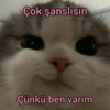 Manitaaa 30