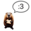 🦛✨️Capibara Pal Chat✨️🦛 18