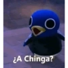 ¿A Chinga?
