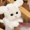 ~ Gatos Cute ☁🤍 9